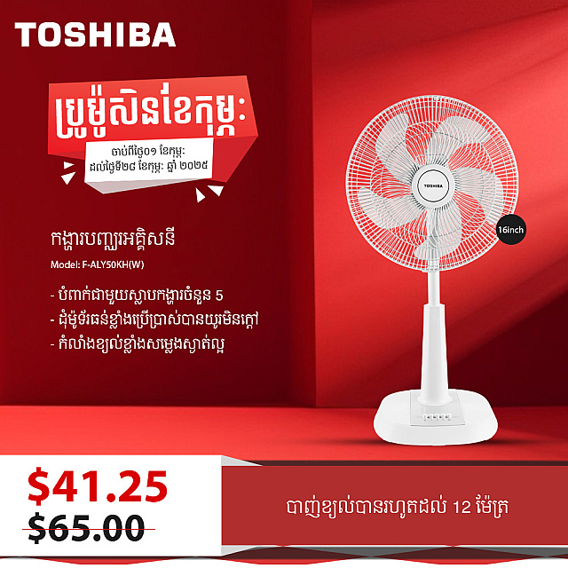 Toshiba Electric  Fan 16 inch